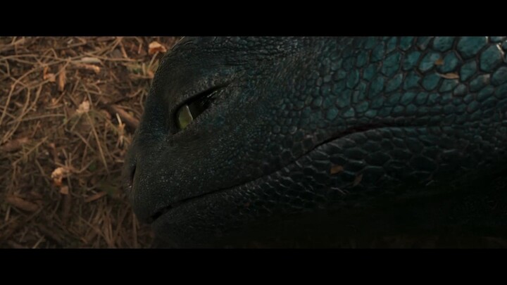 How To Train Your Dragon | Official Trailer | Live Action