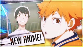 NEW Haikyuu Style Anime RELEASES New Visuals & Footage! 2.43 Seiin High School Volley Ball Club!