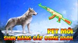 Pet Mới Sói Tuyết Pubg Mobile | Skin Nâng Cấp Come Back Pubg Mobile | Xuyen Do