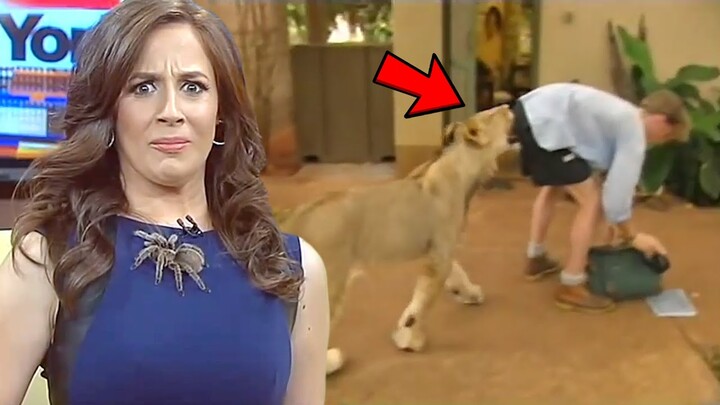 Funny Animals News Bloopers