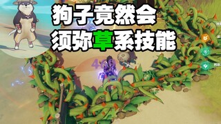 须弥进修的狗子学会了草系技能！四方天蔓阵！全新草系技能！【原神】