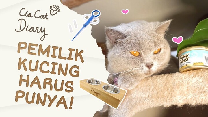 PEMILIK KUCING NEWBIE WAJIB NONTON! 5 Benda Wajib Ketika Memelihara Kucing Pemula! Cia Cat Diary