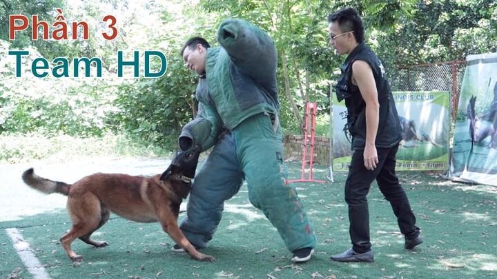P3: Tham Gia 1 Buổi Huấn Luyện của Team HD/ Training Malinois in Vietnam/NhamTuatTV