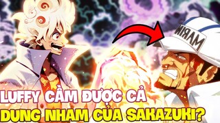 LUFFY SẼ DÙNG ĐƯỢC CẢ DUNG NHAM?! | NHỮNG SỨC MẠNH MÀ LUFFY CÓ THỂ THAO TÚNG ĐƯỢC TRONG TƯƠNG LAI