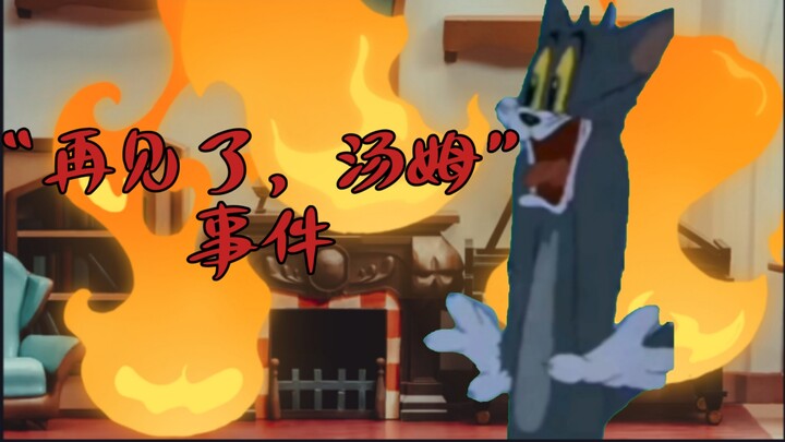“再见了，汤姆”事件