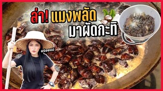 เมนูแปลกแดนใต้!! แมงพลัดผัดกะทิ 1ปีมีให้กินแค่ครั้งเดียว| Ma Icez