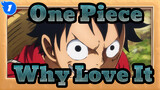 [One Piece] Do You Remember Why You Fall In Love With One Piece?_1