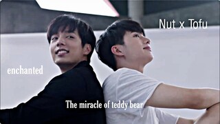 Nut x Tofu (The miracle of teddy bear) Enchanted, FMV: Sub Español