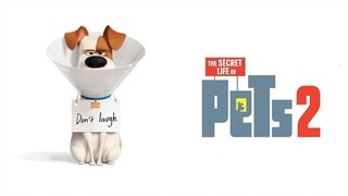 The Secret Life of Pets 2 (2019) เรื่องลับแก๊งขนฟู 2