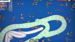Rắn săn mồi #189 -  Trò chơi rắn, game con giun, Vùng giun đất.io - Worms zone.i