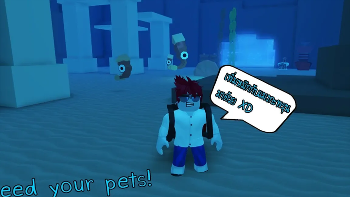 Roblox Feed your pets! 8 ปลาหมึกอัพเดทใหม่กับกุญแจหวานปลดเกาะยูนิคอร์น