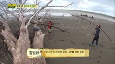 Law of the Jungle in Costa Rica [4] SUB INDO