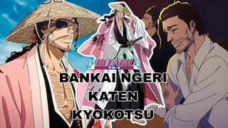 AMV BANKAI KYORAKU SHUNSUI BLEACH