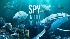 สารคดี สายลับใต้สมุทร SPY IN THE OCEAN ตอนที่ 4