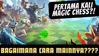 PERTAMA KALI MAGIC CHESS?! BAGAIMANA CARA MAINNYA????