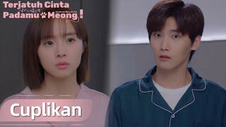 Accidentally Meow On You | Cuplikan EP22 Hampir Ketahuan Diam-diam Bekerja Lembur | WeTV【INDO SUB】