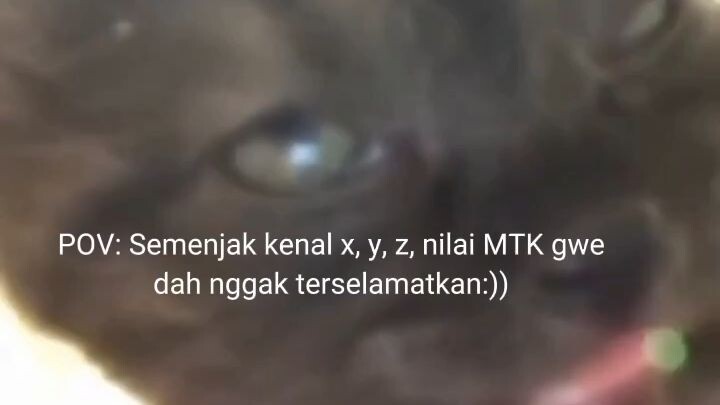 sudah tak terselamatkan nilai mtk ku