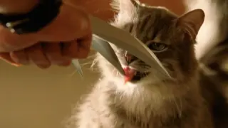 Wolverine: My claws cut iron like mud Meow: Is it?