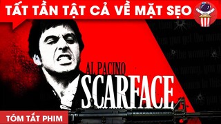 TẤT TẦN TẬT VỀ MẶT SEO - SCARFACE | TÓM TẮT PHIM: SCARFACE - CHÚA TỂ PHIM