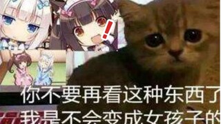 猫娘乐园销量超过300万，国人占一半，为何大家都喜欢猫耳娘【瞎扯淡#4】