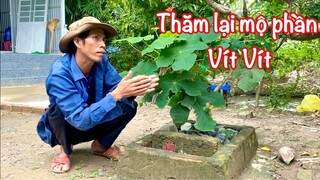 Thăm lại mộ phần Vít Vít một ngày ở nhà tự làm ẩm thực