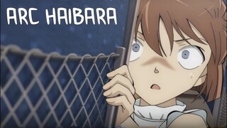 L'histoire de Détective Conan : Arc Haibara