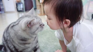 So Cute! Three Cats Treats The Maste's Baby Like Their Own!