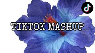 TIKTOK MASHUP 2024 PHILIPPINES (JUNE)🧿