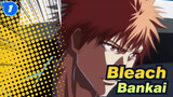 Bleach|Without too much words, Bankai!_1