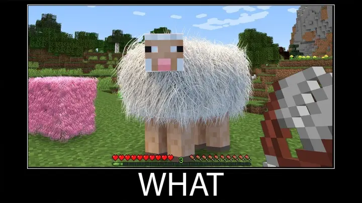 Minecraft wait what meme part 53 realistic minecraft sheep wool