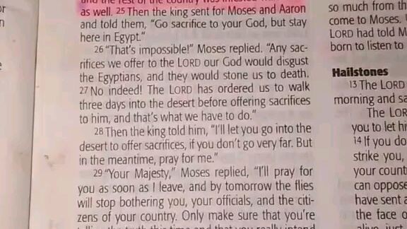 Daily Verse.                  Exodus 8:24-32