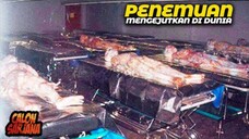 Ilmuwan Terkaget-kaget Dengan Keaslian Penemuan Terlarang Ini