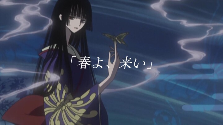 「xxxholic」 & 「春よ、来い」 ｜“偏我来时不逢春……”
