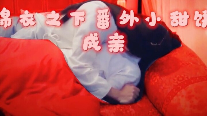 [Pasangan Yixia] Di Bawah Pilot Ekstra Kekuasaan [Pernikahan] Kue Manis♥Lu Yi x Yuan Jinxia
