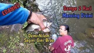 2 HARI MANCING DI SARANG BABON NILEM || GEDE-GEDE SEMUA BROO!!