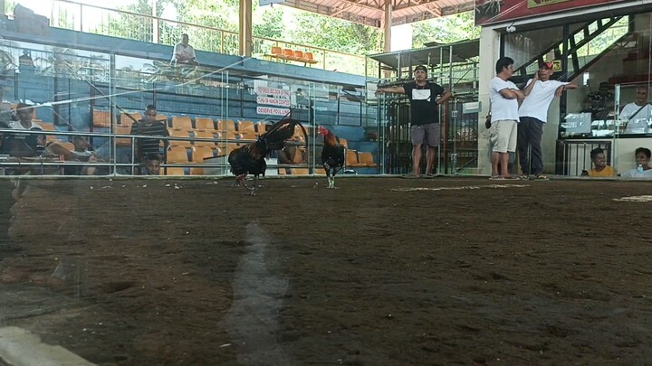 camalig draw