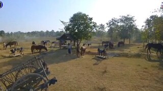 บางระจัน