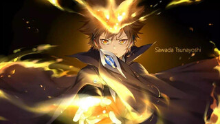 [MAD]Những màn chiến đấu mãn nhãn trong <Gia Sư Hitman Reborn!>