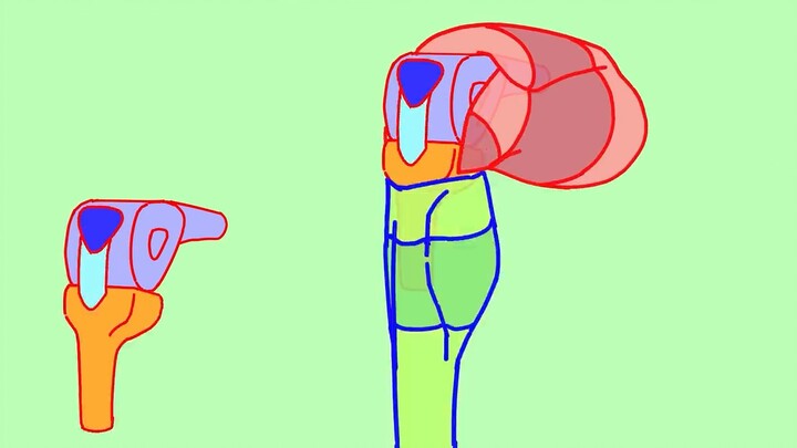 What do you think about your knees? A video will help you solve it~