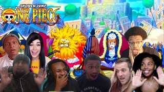 RAIZO IS SAFE ! ONE PIECE EPISODE 767  BEST REACTION COMPILATION