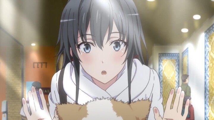 Yukino cat language level 10