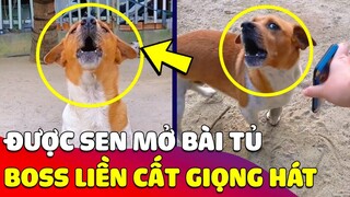 Được con Sen mở đúng 'BÀI TỦ', chú Chó liền 'LÊN GIỌNG HÁT' không trượt nhịp nào 🤣 Gâu Đần