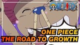 ONE PIECE|Chopper——The Road to Growth