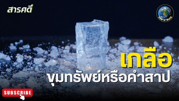 เกลือ ขุมทรัพย์หรือคำสาป สารคดีพากย์ไทย The Paradox of Salt – Blessing or Curse