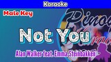 Not You by Alan Walker feat. Emma Steinbakken (Karaoke : Male Key)