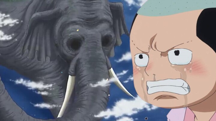 One Piece: Analyze the mission of the elephant master, and the connection between the Kozuki family 