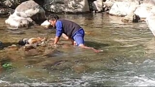 cast net fishing in Nepal | himalayan trout fishing | asala fishing |