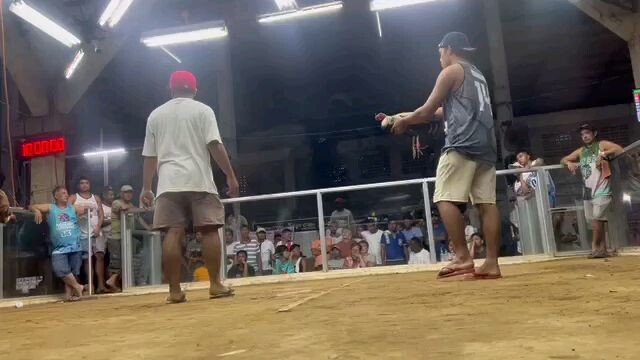 Aaron backyard champion 2hits utan ...melsim grey