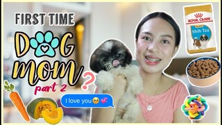 PART 2: PAANO MAG ALAGA NG SHIH TZU PUPPY| DAPAT TANDAAN BAGO MAG ALAGA NG SHIH TZU