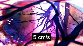 5 cm/s